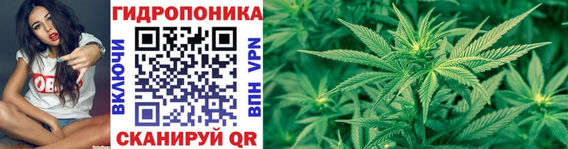 Где купить наркотики Сухиничи АМФЕТАМИН Галлюциногенные грибы A-PVP ГАШИШ Марихуана Меф мяу мяу