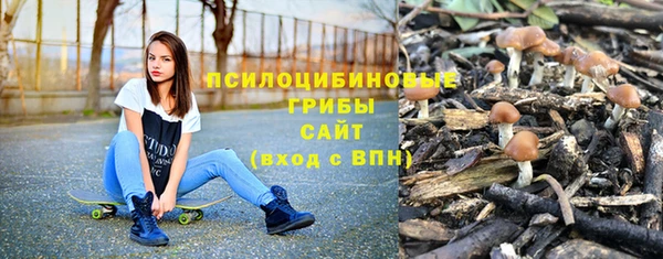 спиды Осташков