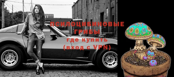 спиды Осташков